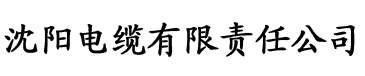 八戒八戒新视觉影院电缆厂logo